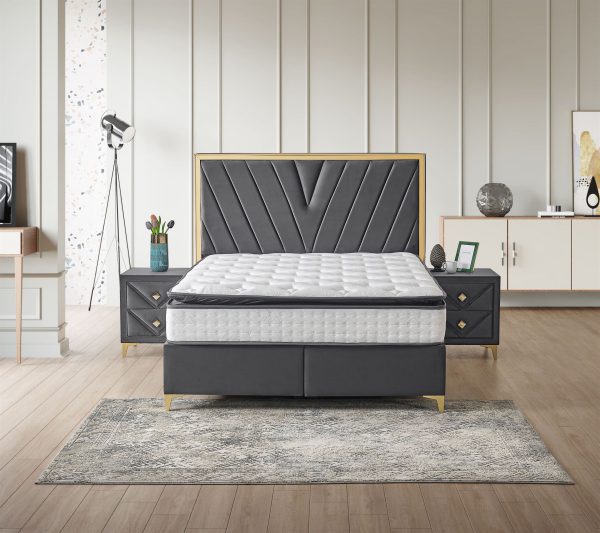 PRIME_ANTRASIT_0000002